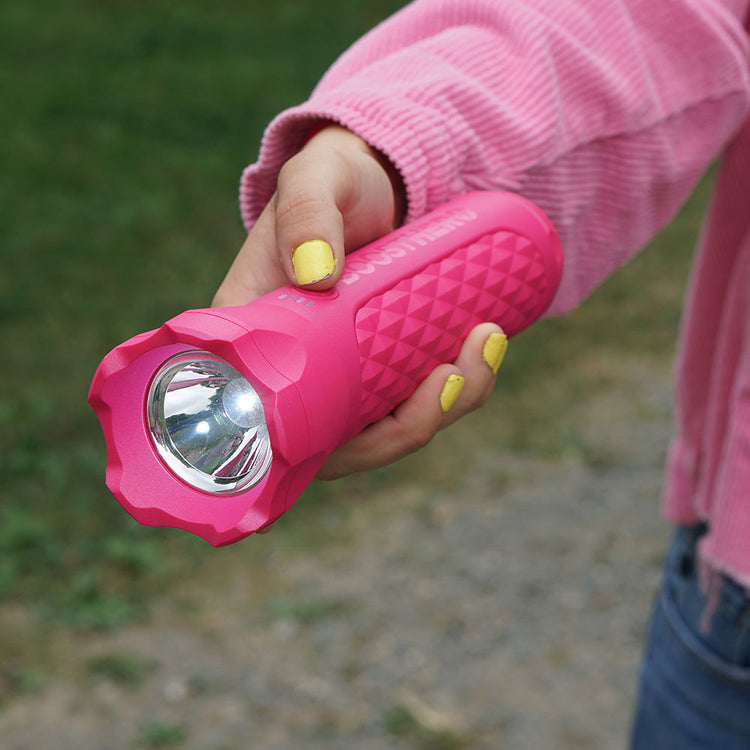 Vehicle Jump Starter, Flashlight & Power Bank